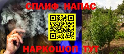 прущие грибы Моздок