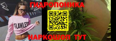 крисы Нарткала