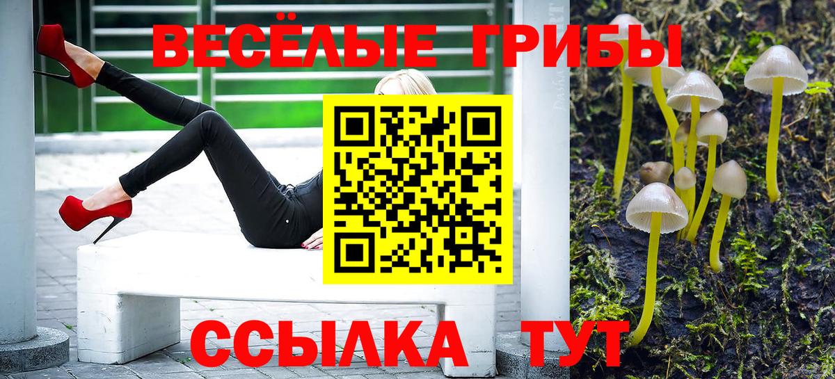 Псилоцибиновые грибы мухоморы Севастополь