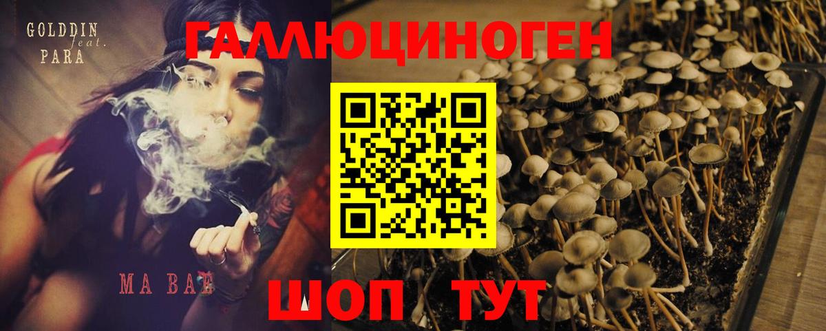 Севастополь  Галлюциногенные грибы Psilocybe  магазин    Вход с VPN 